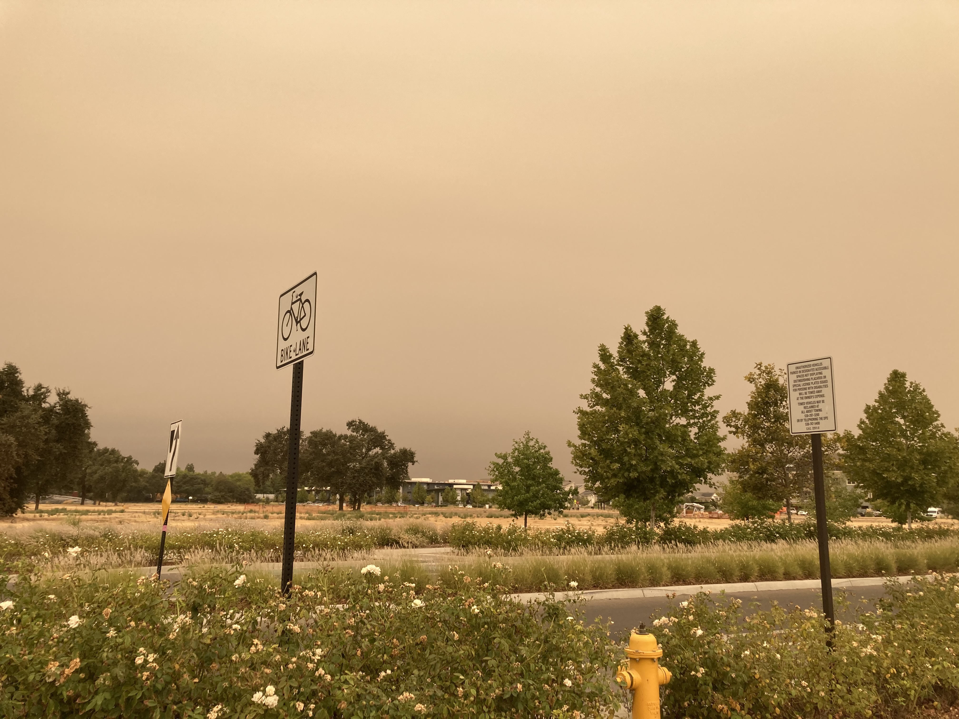 カリフォルニア大学デイビス校周辺、火事による大気汚染で昼間でもこの色